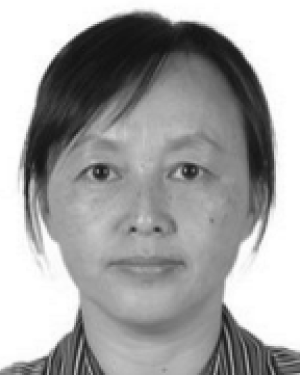 Xin Gao
