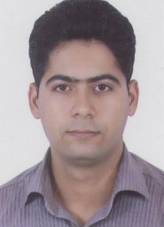 Seyed Hamzeh Baghjari