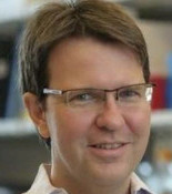 Hans-Guido Wendel
