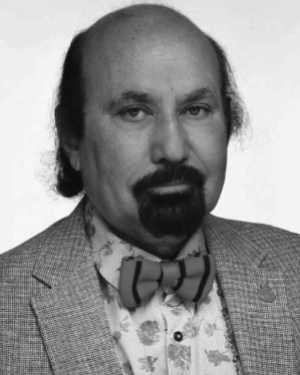 Hamed S. Al-Raweshidy