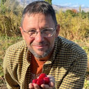 Gusztav Nemes