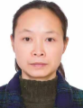Tao Zhu
