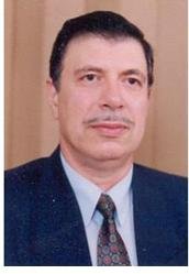 Yousry M Issa