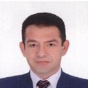 Wael F El-Tras