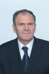 Radomir Folic