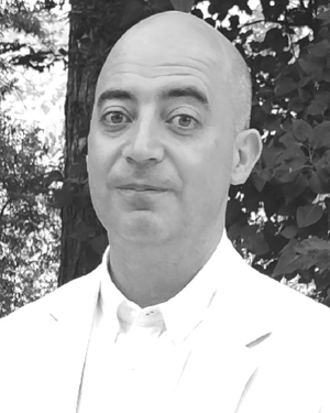 David Volgyes
