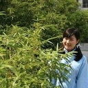 Xixi he