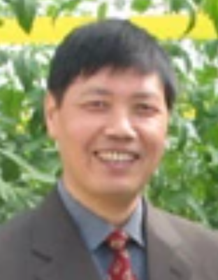 Yuejian Yang