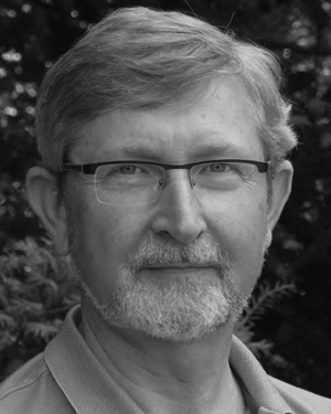 Dieter Ferling