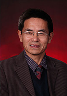 Lifei Zhang
