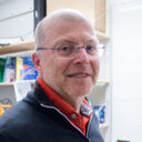 Bengt Hallberg