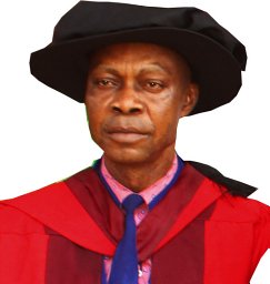 Dennis C. Nwosu