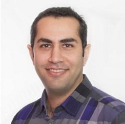 Alborzi Seyed Ziaeddin