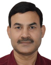 Sushil P Ambesh