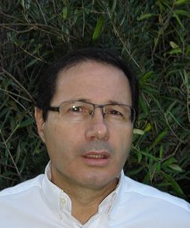 Alain Karsenty