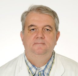 Babić Zdravko