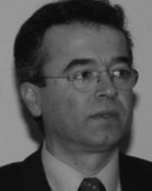 Ioannis Mavridis
