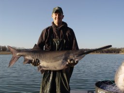 Ryan N. Hupfeld