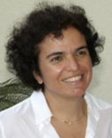 Rosa Maria Affonso Moyses