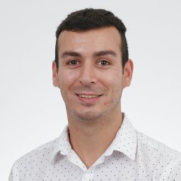 Iliya D. Stoev