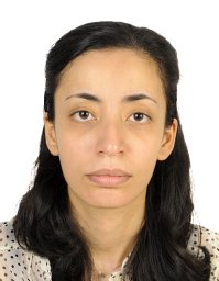 Dina S Shokry