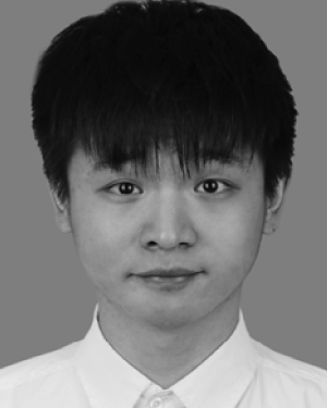 Zhiwei Wei