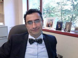 Abdul V. Roudsari