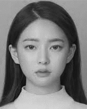 Jingyang Ai