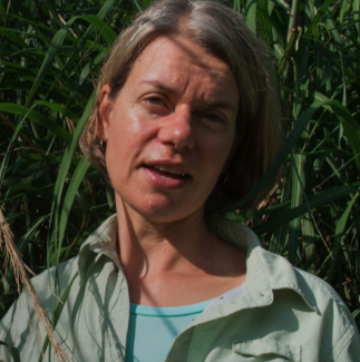 Kristin Saltonstall
