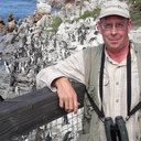 Gregory D. Johnson