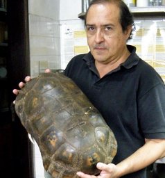 Mario R. Cabrera