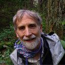 David Stokes