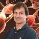 Bruno P Meloni