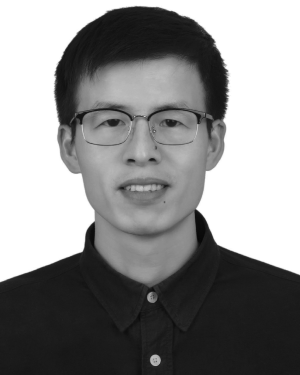 Qi Qiang Liu