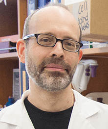 Michael S. Diamond