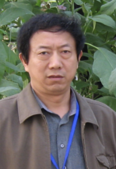 Zhengyin Wang