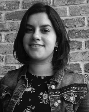 Zeynep B. Kaykac Egilmez