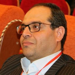 Seyed Ali Almodaresi