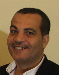 Ezzeldin M. Ibrahim