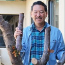 Steven Koike