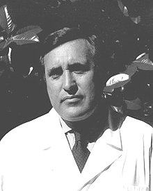 Domenico Arduini