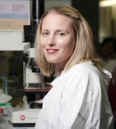 Kelly A. Avery-Kiejda