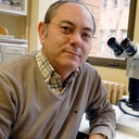 Luis F. Valladares