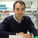 Alberto Acedo