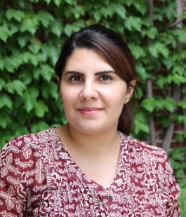 Rima Mohammad