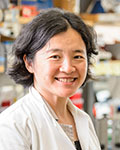 Jue D. (Jade) Wang