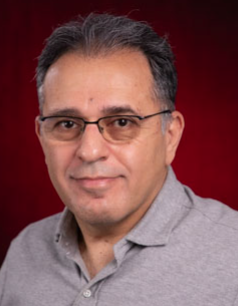 Amir Amini