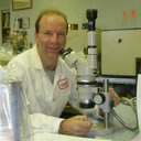 C. J. Demianyk
