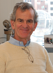 David Thorley-Lawson