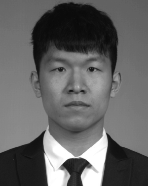 Qinghan Yu